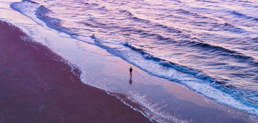Discovering the Belgian coast